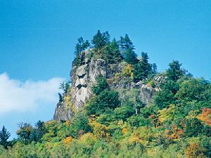 （圖）桃山原始森林