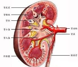 結核性盆腔炎