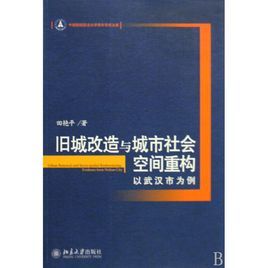 舊城改造與城市社會空間重構：以武漢市為例