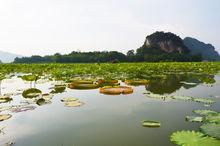 峰林蓮湖