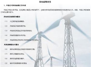 中能電力科技開發有限公司