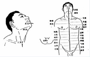 內經十二脈