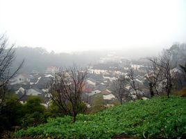 蘆山村[貴州省惠水縣蘆山鎮]