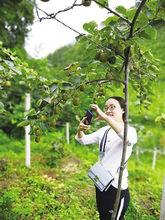 王秋婷