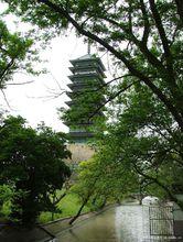 寶山臨江公園風景