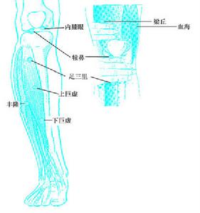 梁丘穴