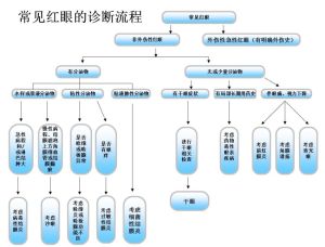 眼部診斷流程