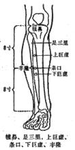 下巨虛穴