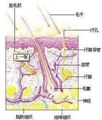 合肥腋臭醫院