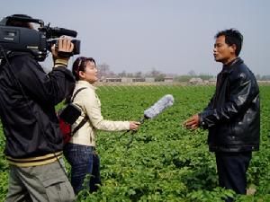 每日農經 採訪種植高手