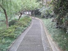 荊川公園