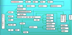 大農業循環經濟理論黃粉蟲蛋白質資源產業化開發技術線路圖