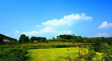 吊橋村風景