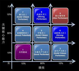 人才盤點[人力資源概念]