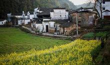 西沖村[湖南省岳陽縣筻口鎮下轄村]