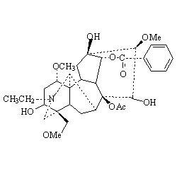 短柄烏頭