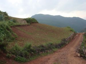 團山良子村