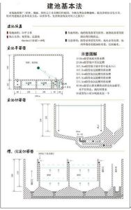 錦鯉魚池過濾池