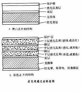 鹵化銀感光材料