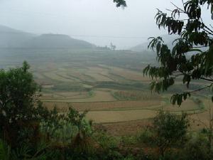 寶峰鎮青龍村