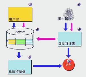 指紋識別器