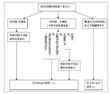 附圖-5 II/III期結腸癌處理流程