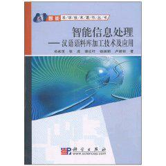 智慧型信息處理[2010年10月1日科學出版社]