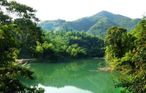 白雲森林公園