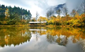 喇叭溝門國家森林公園