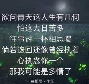 一曲相思[半陽演唱歌曲]