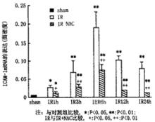 細胞粘附分子(圖1)