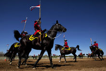 加拿大皇家騎警馬隊在渥太華進行表演