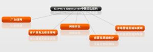 captive consumer中國團隊架構