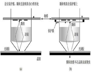 掩模保護膜