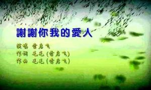 謝謝你我的愛人[雷啟飛演唱歌曲]