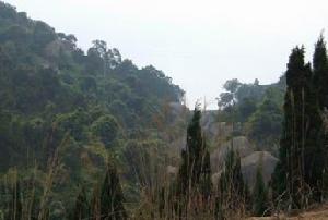 桑浦山公園