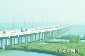 車水馬龍的東海島大橋