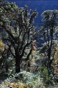 怒江高山冰磧湖