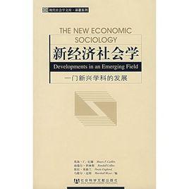 新經濟社會學：一門新興學科的發展