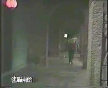 湖南電視檯曆年台標（不包括微調）