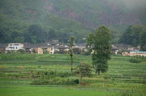 五街村[雲南通海縣高大鄉下轄村]