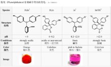 酚酞溶液在不同酸鹼環境下的結構