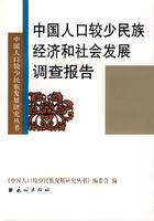 中國人口較少民族經濟和社會發展調查報告