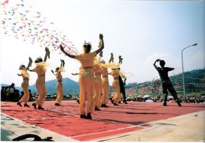 阿烏村[雲南省昆明市石林彝族自治縣鹿阜鎮阿烏村]