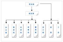 組織結構