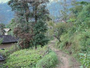 大光山自然村