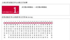 上海公交自貿試驗區洋山1線