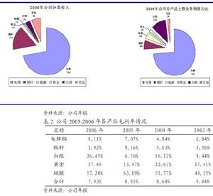 （圖）牛市中的成長股