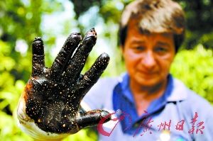 一名環境保護主義者在檢測厄瓜多被污染的農田後，所戴手套上沾滿了油污。
