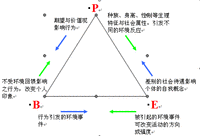 社會交換理論